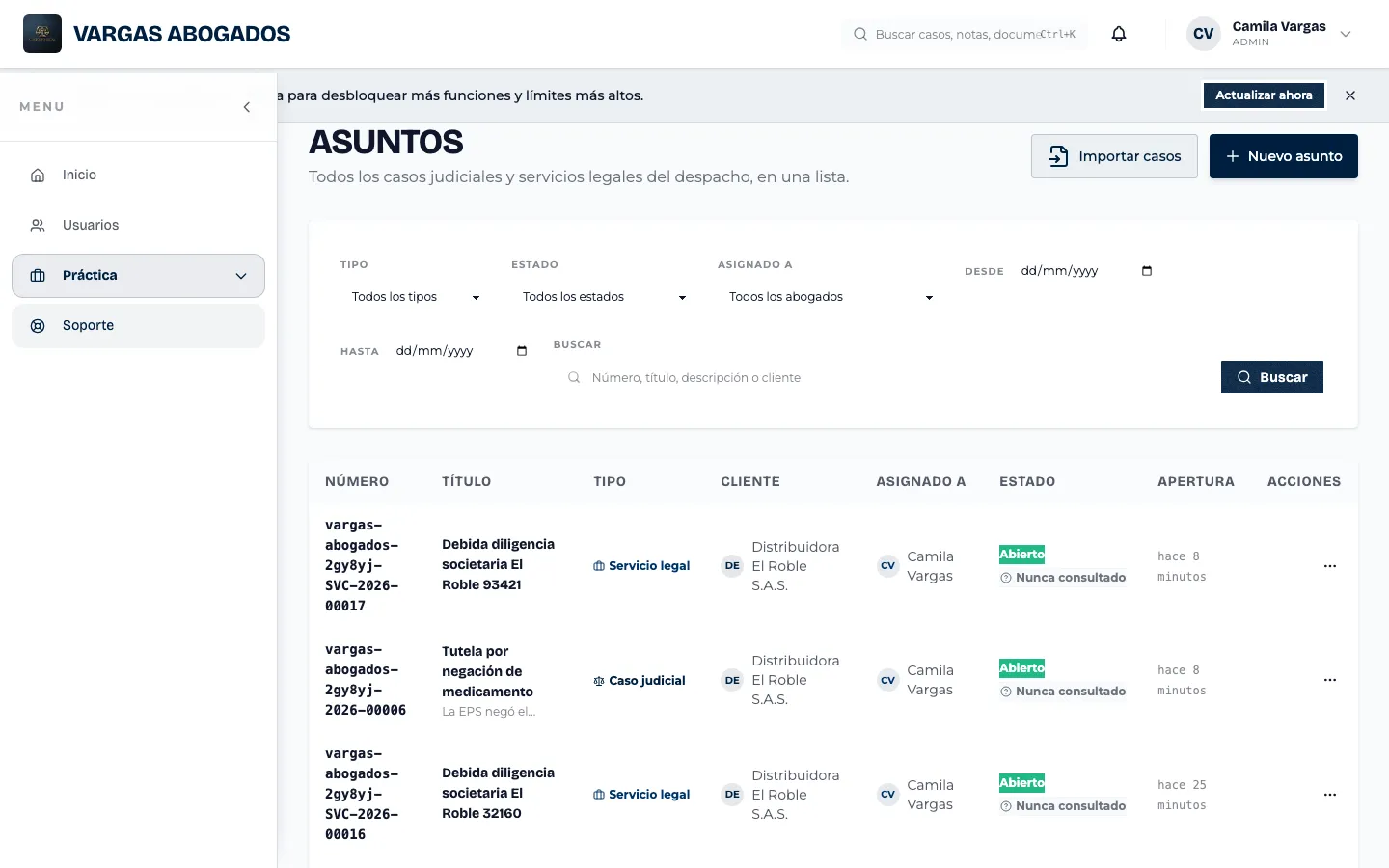 Lista de asuntos del despacho