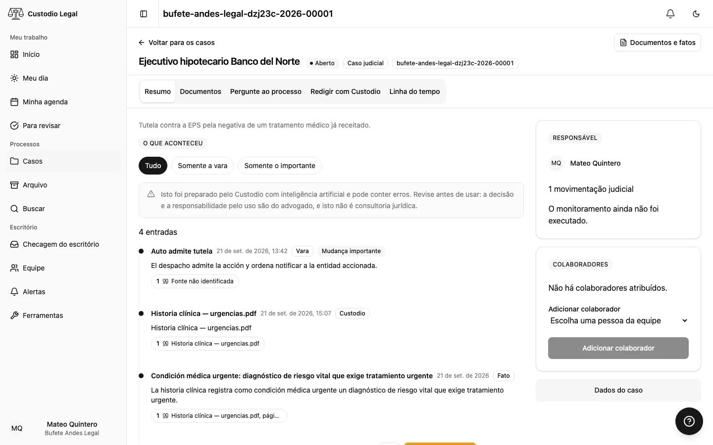 O resumo do processo, com o cabeçalho, o estado e os dados do caso